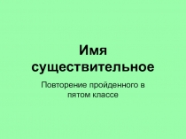 Имя существительное (повторение пройденного в 5 классе)