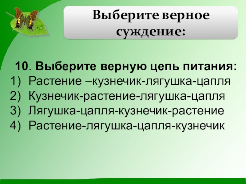 Верные цепочки. Пищевая цепь растения кузнечик лягушка. Пищевая цепочка трава кузнечик лягушка цапля. Цепь питания кузнечик лягушка. Цепь питания трава кузнечик лягушка.