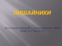 : Лишайники