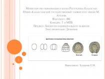 Биологическое значение и классификация типов дробления