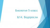 Презентация по Биологии на тему &14. Водоросли. (5 класс)
