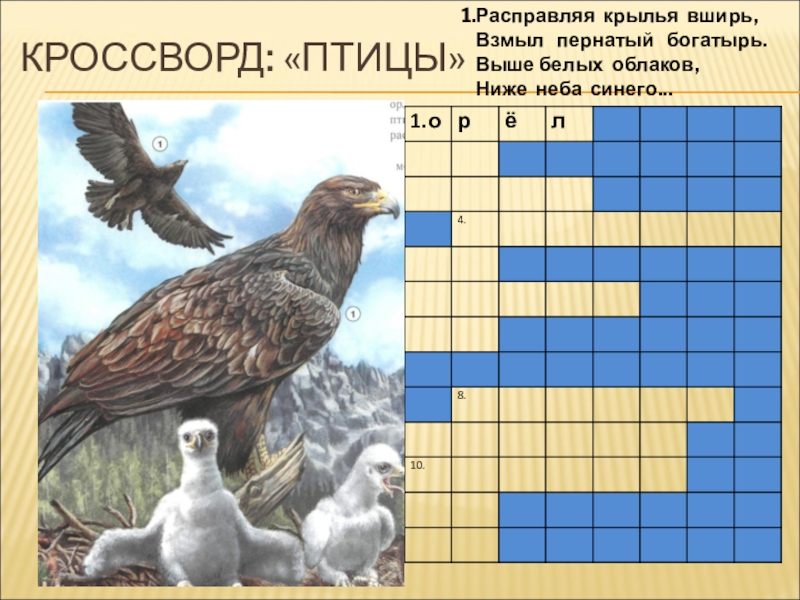 Сканворд крыло. Кроссворд Хищные птицы. Кроссворд по птицам. Кроссворд птицы презентация. Птица из сканворда.