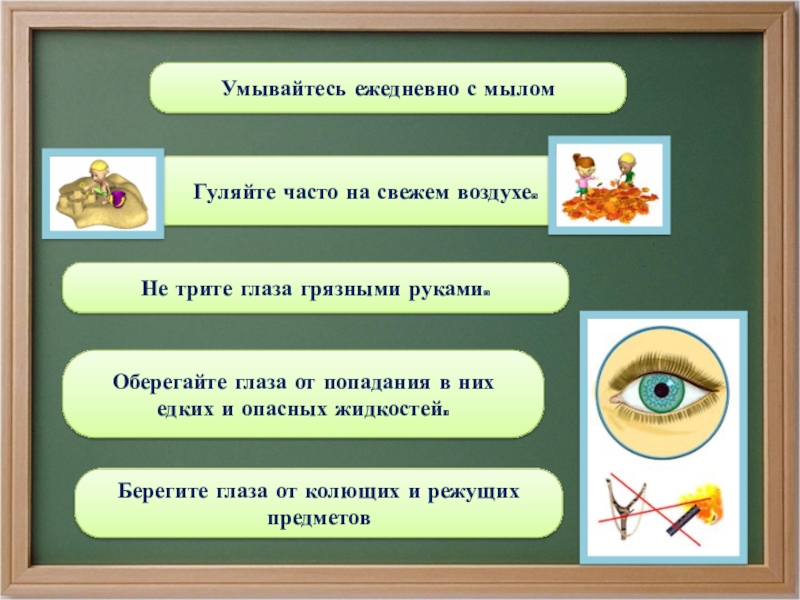 Органы чувств презентация 3 класс окружающий мир плешаков презентация