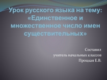 Презентация к уроку русского языка на тему Единственное и множественное число имен существительных
