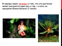 Презентация по биологии на тему Хвощи. Плауны. Папоротники (6 класс)