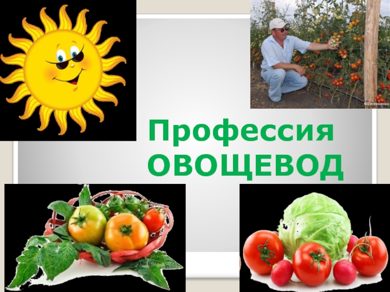 Презентация Презентация к уроку технологии по теме Технология приготовления блюд из овощей(5 класс)
