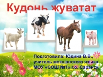 Презентация к уроку мокшанского языка на тему Кудонь жуватат