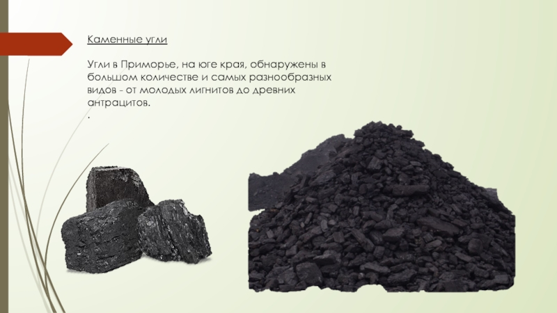 Продать аомсш уголь. Уголь каменный 5-20. Полезные ископаемые уголь. Полезные ископаемые каменный уголь. Каменный и бурый уголь в Приморье.