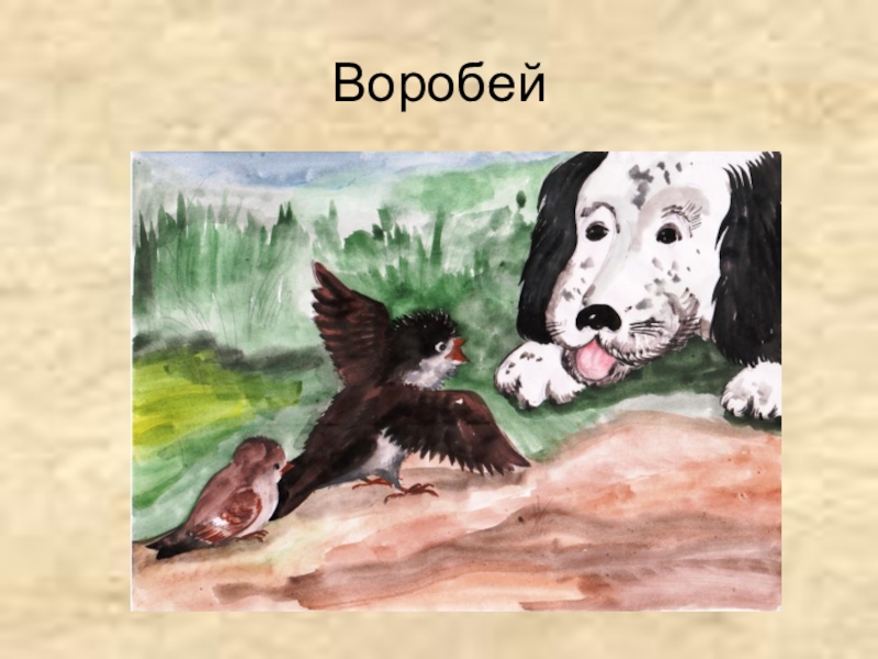 Рисунок к рассказу воробей