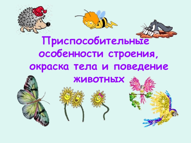 Приспособительные особенности строения и поведения животных презентация 9 класс