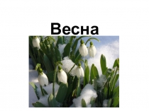 Весна часть 1