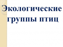 Презентация по окружающему миру Экологические группы птиц