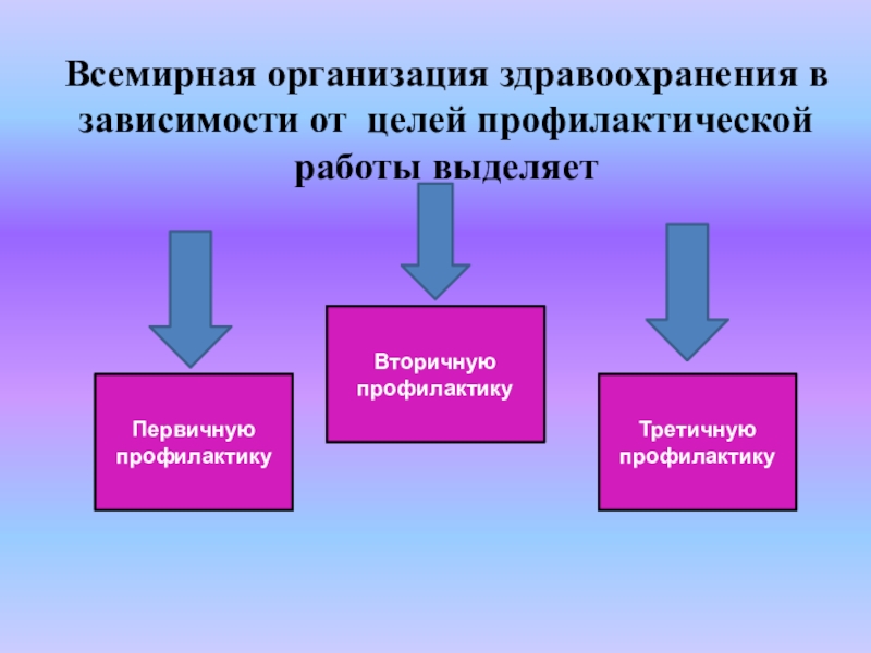 Программа профилактики негативных явлений в молодежной среде