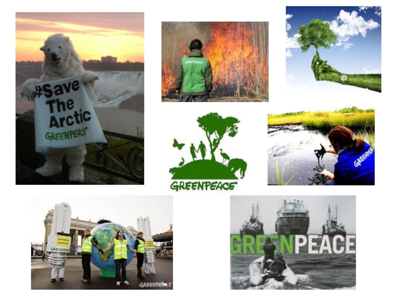 Greenpeace organization. Гринпис 1971. Экологическая организация Гринпис. Гриин писы. Гринпис деятельность.