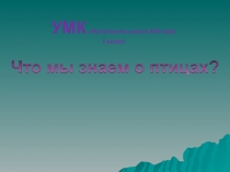 Презентация к уроку окружающего мира Что мы знаем о птицах?