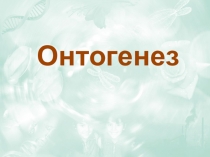 Презентация к уроку по теме Онтогенез