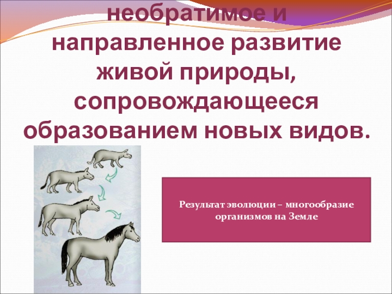 Образование новых видов. Необратимое и направленное развитие живой природы это. Необратимое и направленное историческое развитие живой природы. Процесс развития живой природы. Необратимый процесс развития живой природы.