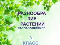Презентация по окружающему миру на тему Разнообразие растений (3 класс)