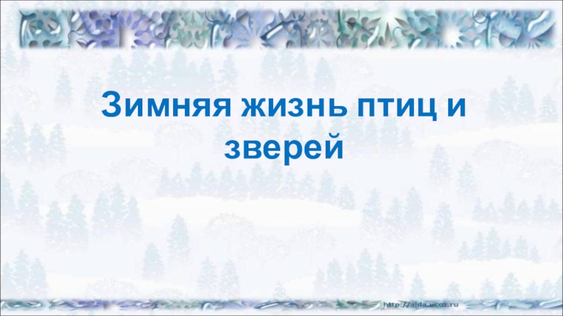 Жизнь животных зимой 2 класс. Зимняя жизнь птиц. Зимняя жизнь птиц и зверей. Зимняя жизнь птиц презентация. Окружающий мир зим зимняя жизнь птиц и зверей.