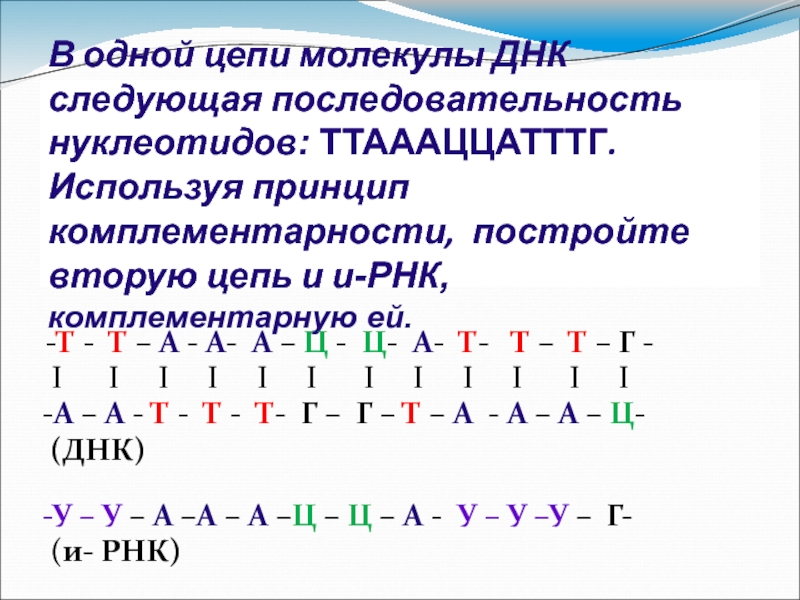 Фрагмент гена имеет следующую последовательность нуклеотидов. Принципы репликации ДНК комплементарность. Принцип комплементарности НК. Принцип комплементарности из ДНК В РНК. Принцип комплементарности ДНК И РНК.