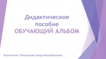 Дидактическое пособие Обучающий альбом (дошкольники)