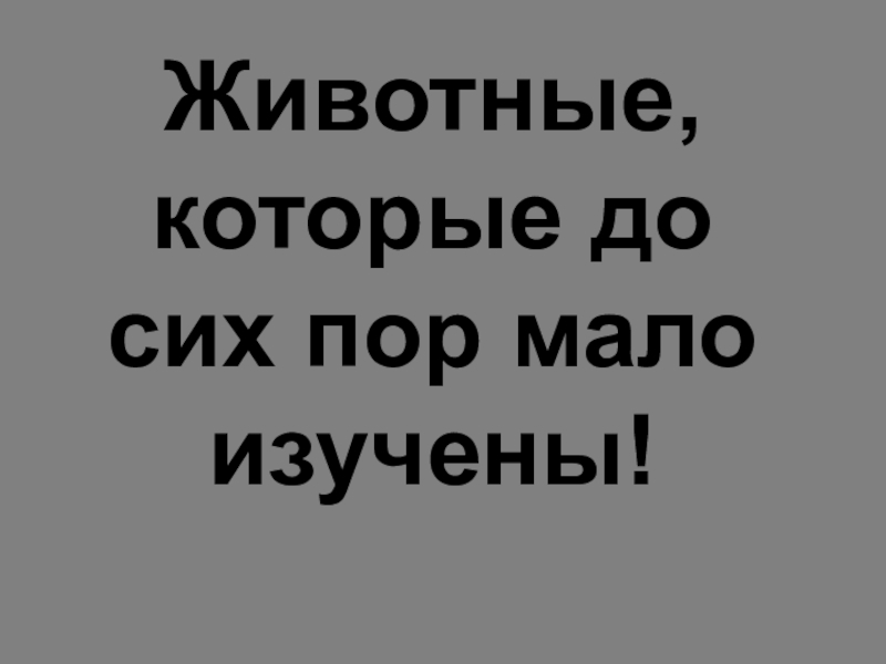 Мало изучены. Животные которые до сих пор мало изучены. Животные которые до сих пор мало изучены в Краснодаре.