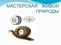 Презентация по экологии  МАСТЕРСКАЯ ЖИВОЙ ПРИРОДЫ
