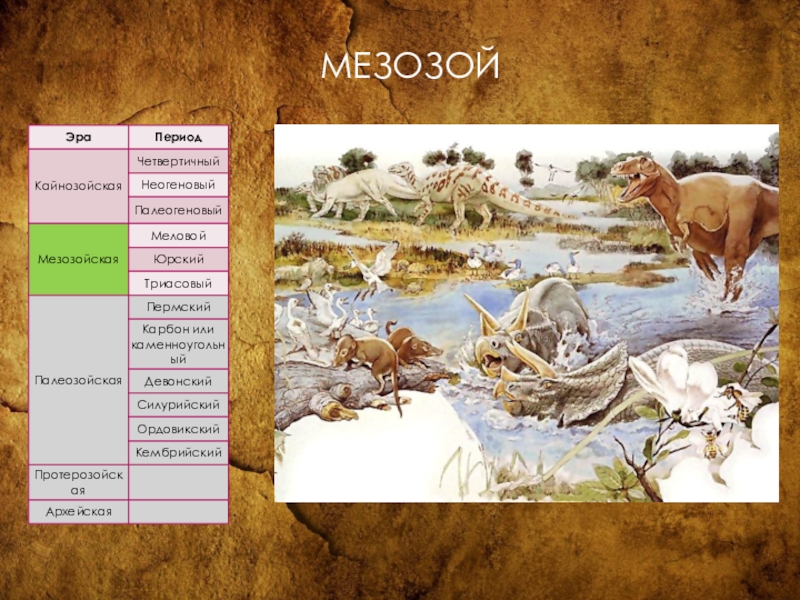 1 мезозойская 2 палеозойская 3 кайнозойская. Мезозойская Эра периоды. Мезозой Эра Дата. Триасовый Юрский и меловой периоды таблица. Мезозой Возраст эры.