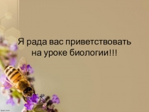 Презентация Колониальные организмы 5 класс