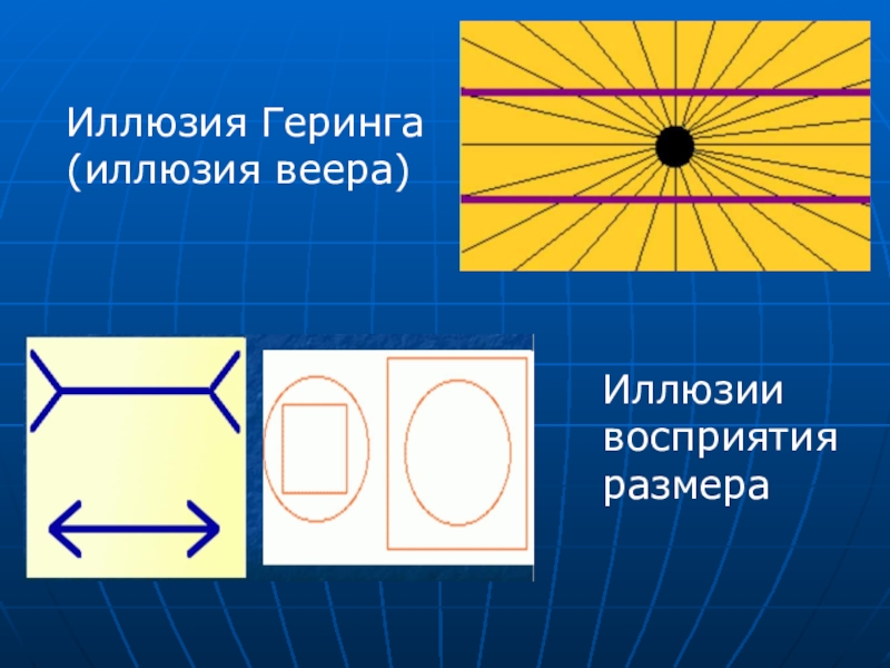 Проект иллюзия в математике