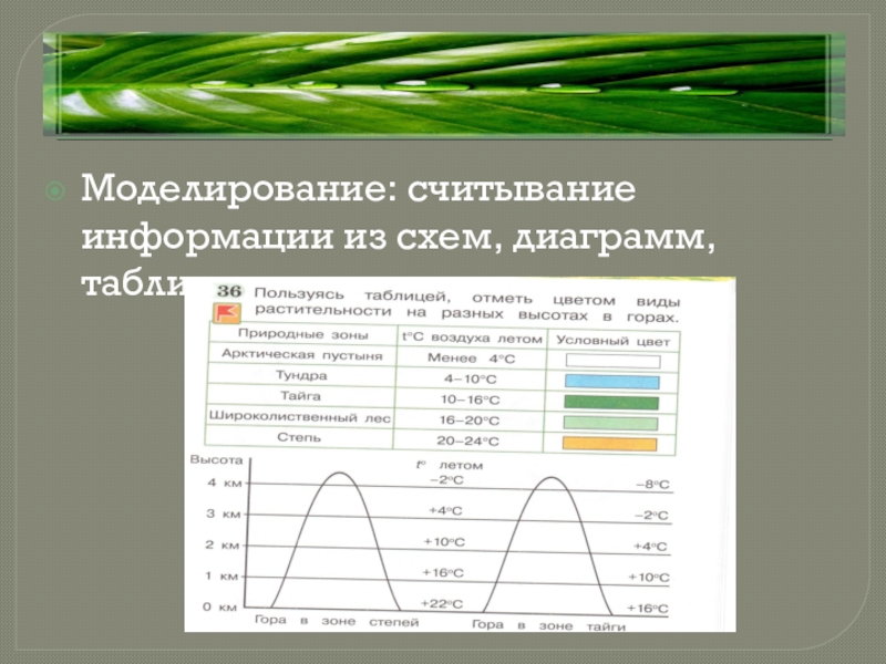 Презентация таблицы и диаграммы