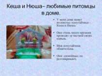 Презентация по биологии Кеша и Нюша - любимые питомцы в доме