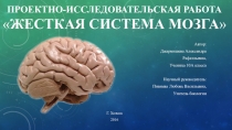 Презентация к исследовательской работе Жёсткая система мозга