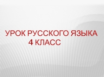 Презентация по русскому языку на тему  Изменение имён существительных в единственном и во множественном числе по падежам