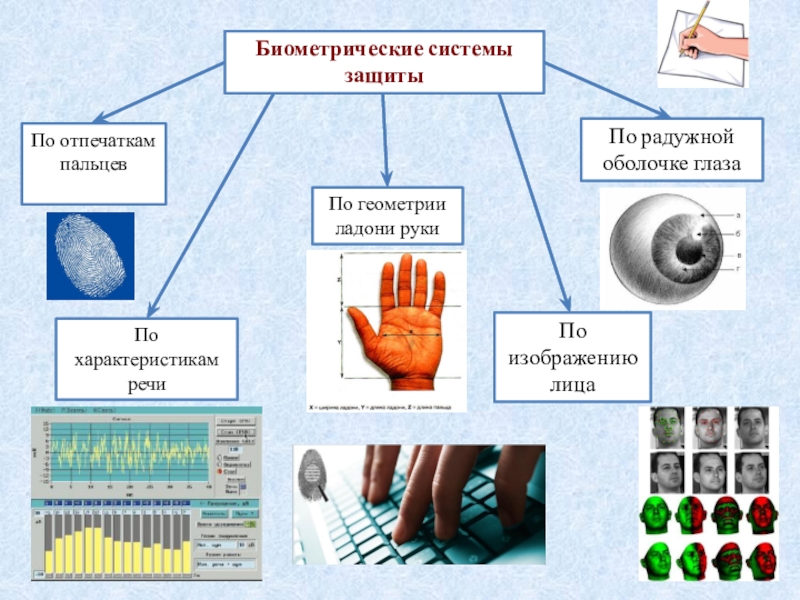 Биометрическая защита данных презентация