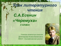 Презентация по литературному чтению на тему: С.А.Есенин Черемуха (3 класс)