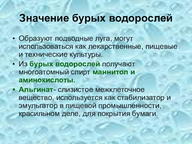 значение бурых водорослей