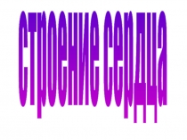 Презентация к уроку биологии по теме Строение и функции сердца