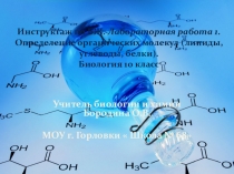 Презентация по биологии 10 класс Лабораторная работа 1.Определение органических молекул (липиды, углеводы, белки).