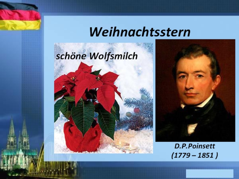 Weihnachtsstern schöne WolfsmilchD.P.Poinsett(1779 – 1851 )
