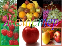 Биология пәнінен презентация Жемістер