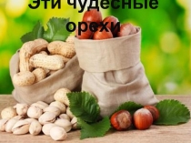 Презентация по окружающему миру Эти чудесные орехи!