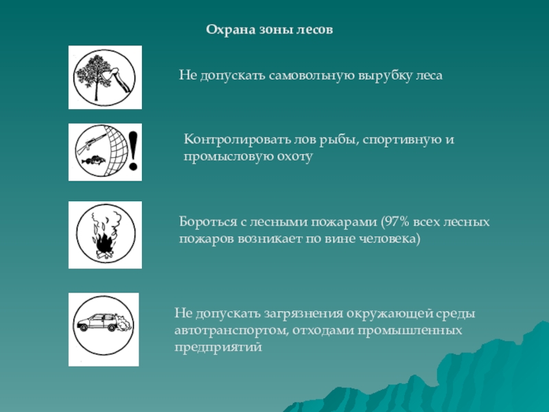 Лес и человек 4 класс окружающий тест. Охрана смешанных лесов. Охрана зоны лесов. Охрана зоны смешанных лесов. Охрана природы в лесных зонах.