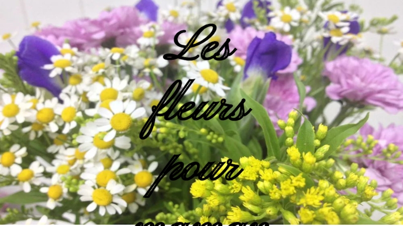 Презентация Презентация по французскому языку на тему: Цветы и поздравления маме с 8 марта ( 1 класс)