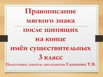 Презентация к уроку русского языка в 3 классе. Правописание мягкого знака после шипящих на конце имён существительных