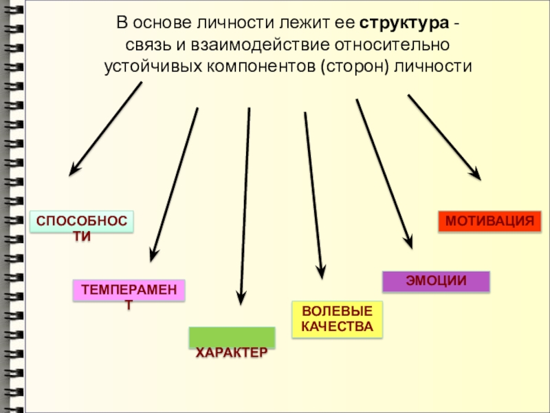 В основе личности лежит ее структура - связь и взаимодействие относительно устойчивых компонентов (сторон) личностиспособноститемперамент характерВолевые качестваэмоциимотивация