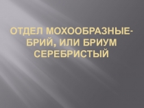 Презентация по ботанике и физиологии растений по теме Мохообразные (1 курс)