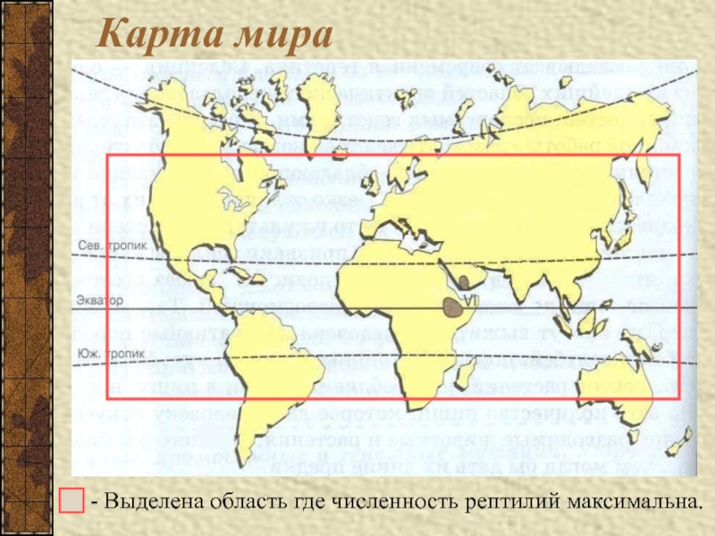 - Выделена область где численность рептилий максимальна.Карта мира