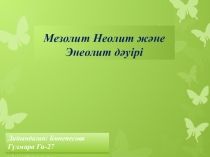 Мезолит неолит және энеолит дәуірі ( 6 класс )