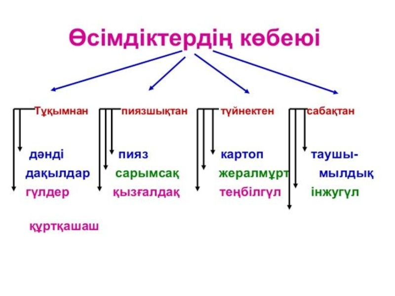 Өсімдіктердің көбеюі презентация